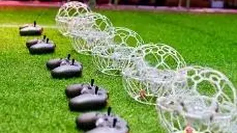 北京：篮球足球等团体对抗运动项目暂停进行