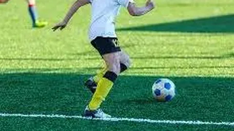 从体育视角解读：十五运会映照粤港澳大湾区协同发展