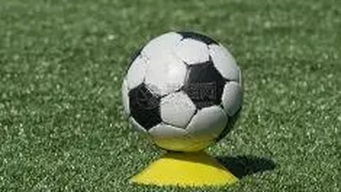 切尔西与拜仁领跑梅努抢购战，球员心属那不勒斯